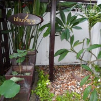 фото из отзыва ID 282832