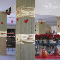 фото из отзыва ID 282790