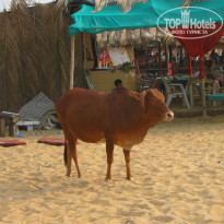 фото из отзыва ID 283047