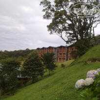 фото из отзыва ID 283052