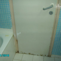 фото из отзыва ID 283074