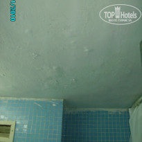 фото из отзыва ID 283074