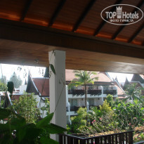 фото из отзыва ID 283102