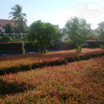 фото из отзыва ID 283102