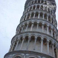 фото из отзыва ID 283155