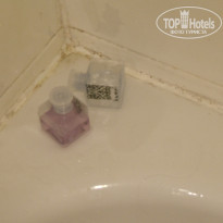 фото из отзыва ID 283312