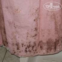 фото из отзыва ID 283592