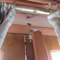 фото из отзыва ID 283592