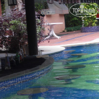 фото из отзыва ID 283826