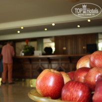 фото из отзыва ID 283936