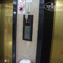 фото из отзыва ID 284146