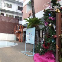 фото из отзыва ID 284146