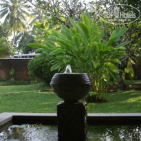 фото из отзыва ID 285386