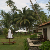 фото из отзыва ID 285386