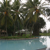 фото из отзыва ID 285386