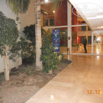 фото из отзыва ID 285974