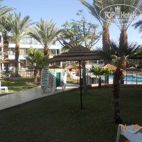 фото из отзыва ID 285974