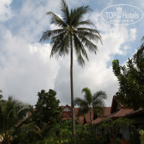 фото из отзыва ID 286282