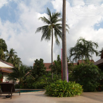 фото из отзыва ID 286282