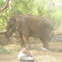 фото из отзыва ID 286702