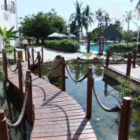 фото из отзыва ID 286718