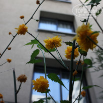 фото из отзыва ID 286864