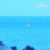 фото из отзыва ID 286460