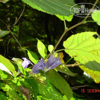 фото из отзыва ID 287551