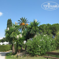 фото из отзыва ID 287944