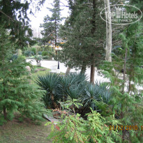 фото из отзыва ID 287952