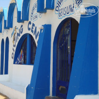 фото из отзыва ID 287967