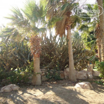 фото из отзыва ID 287967