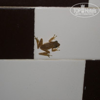 фото из отзыва ID 287997