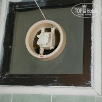 фото из отзыва ID 288008