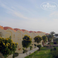 фото из отзыва ID 288327