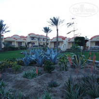 фото из отзыва ID 288350