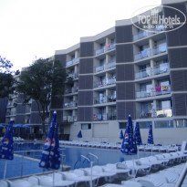 фото из отзыва ID 288648