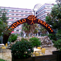 фото из отзыва ID 28918