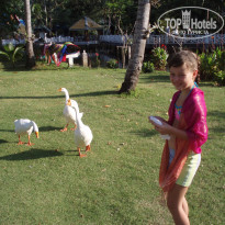 фото из отзыва ID 289147