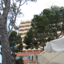 фото из отзыва ID 289593