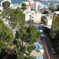 фото из отзыва ID 289593