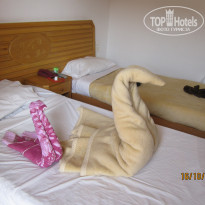 фото из отзыва ID 289703