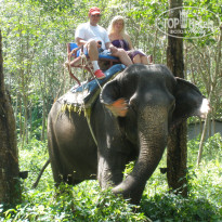 фото из отзыва ID 289828