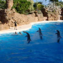 фото из отзыва ID 290062