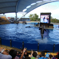 фото из отзыва ID 290062