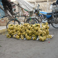 фото из отзыва ID 290144