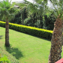 фото из отзыва ID 290438