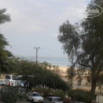 фото из отзыва ID 290489