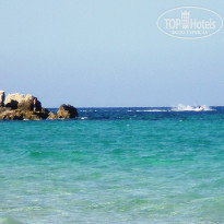 фото из отзыва ID 290663