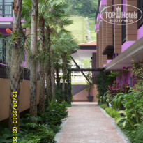 фото из отзыва ID 291088